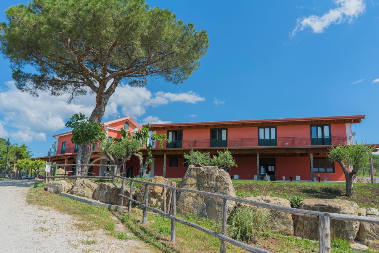 Terra Di Vento Bed & Breakfast Montecorvino Pugliano ภายนอก รูปภาพ