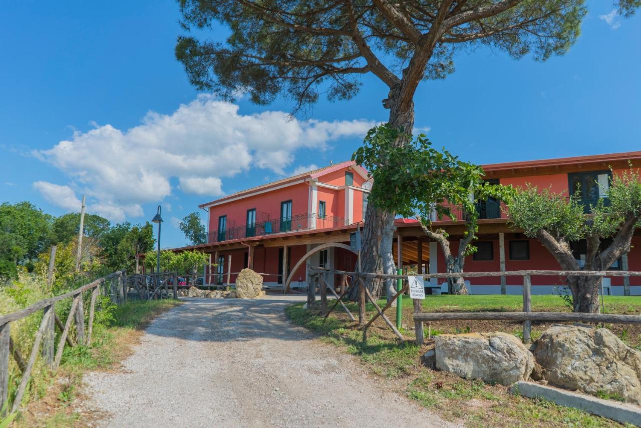 Terra Di Vento Bed & Breakfast Montecorvino Pugliano ภายนอก รูปภาพ